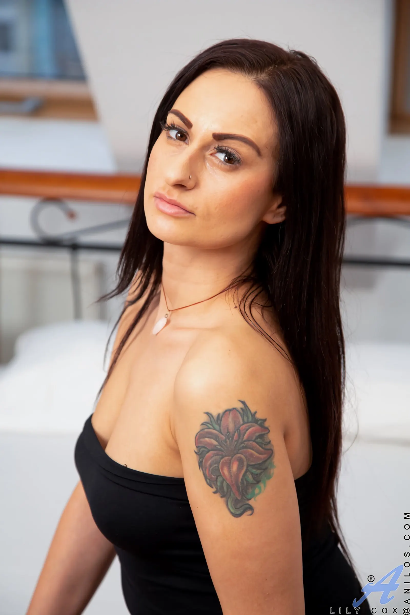 Anilos 'The Naughty Brunette' starring Lily Cox (Photo 2)